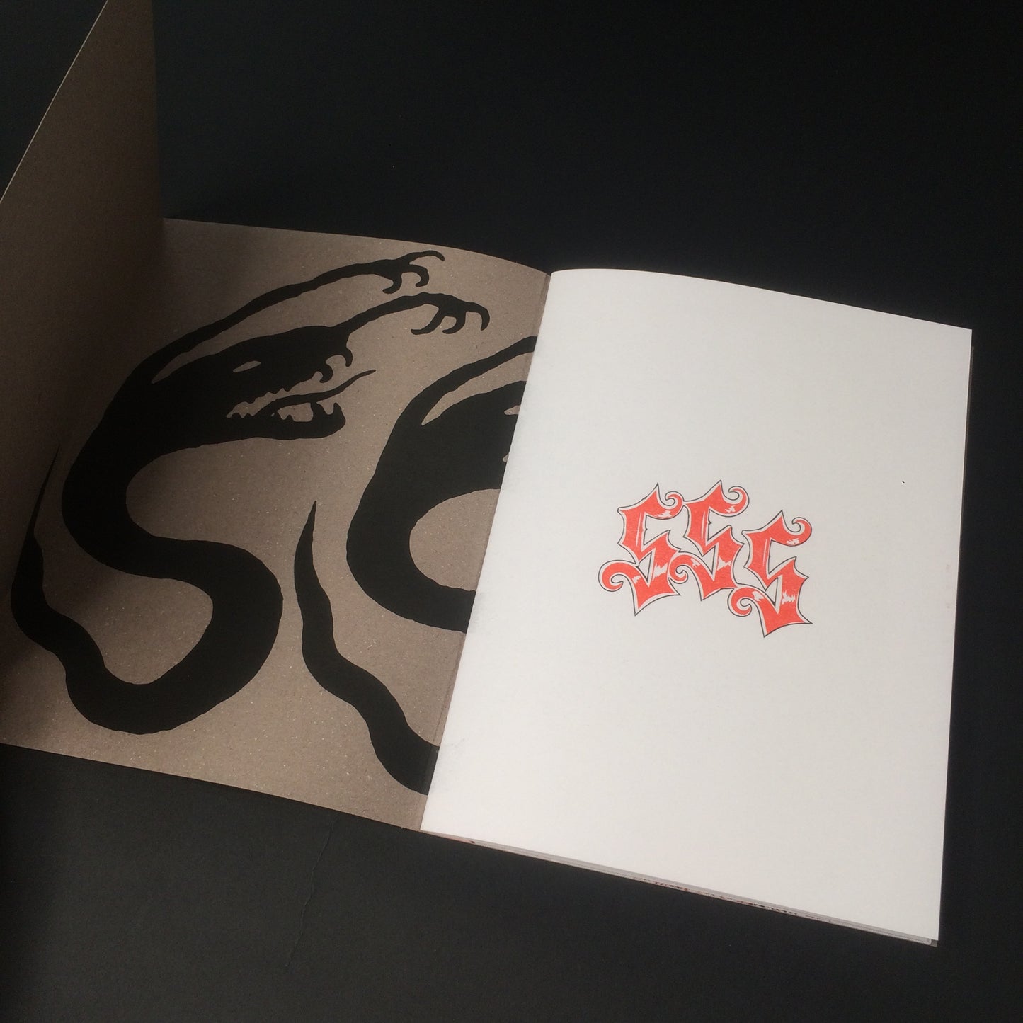Zine SSS-001