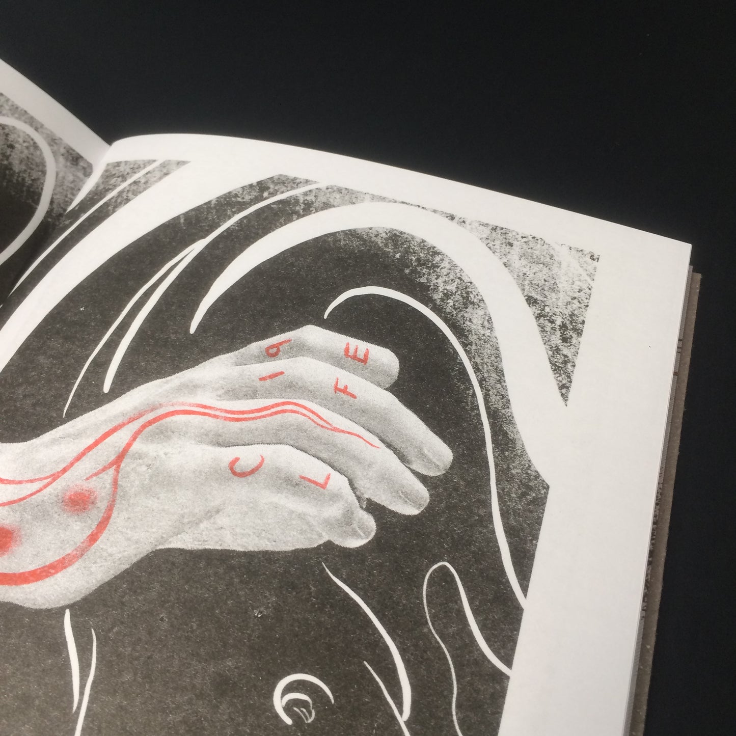 Zine SSS-001